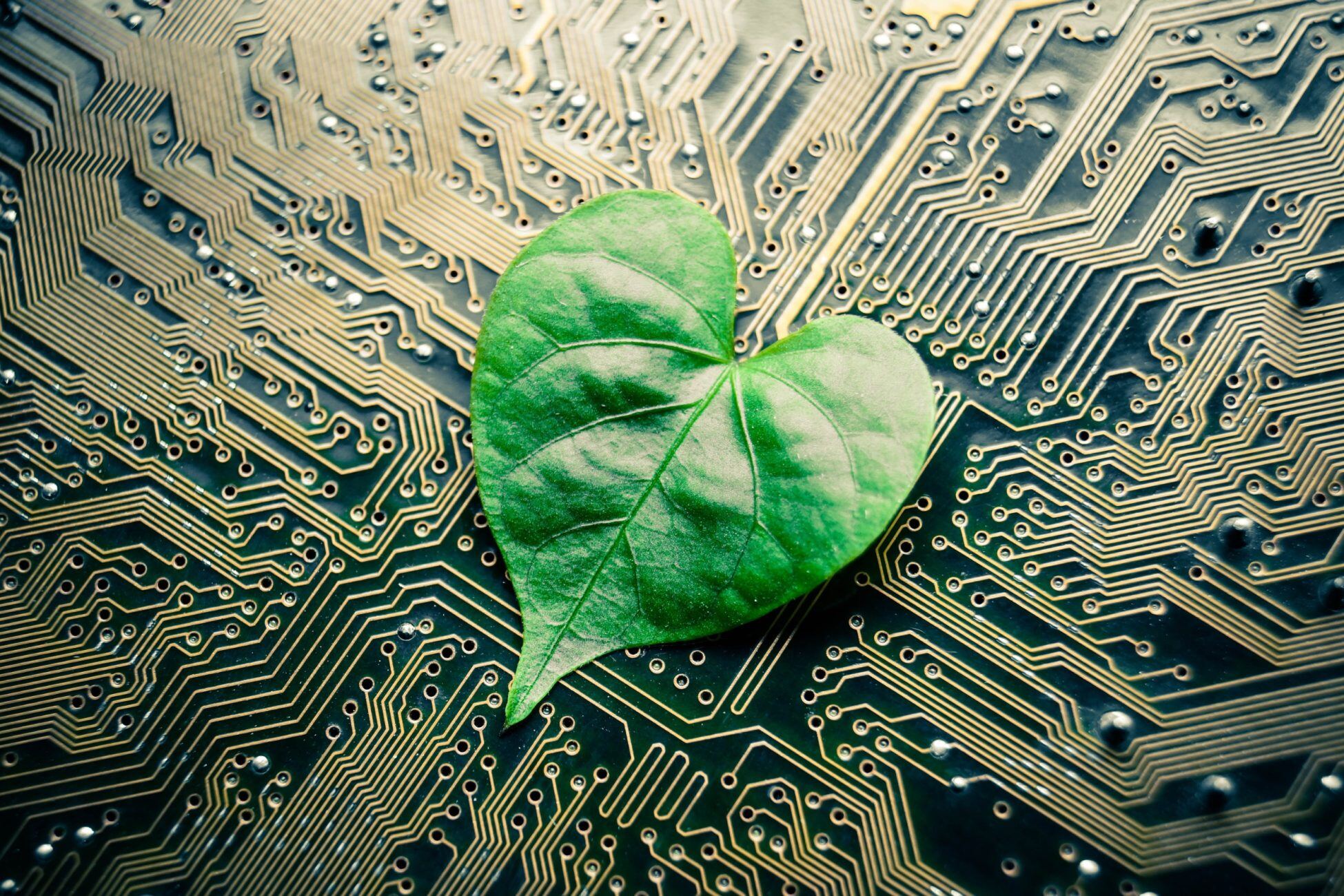Advocating Sustainable Electronics