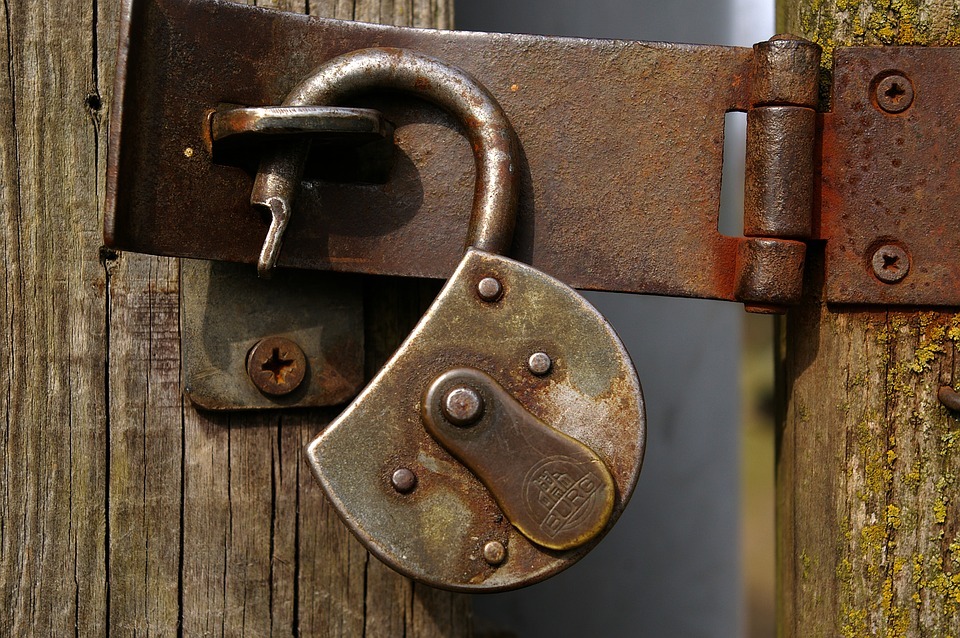 Unlock Your Future